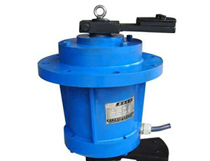 立式振動電機(jī)